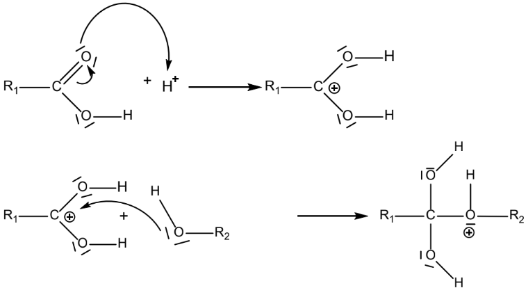 Schematische Darstellung einer Protonierung eines Carbonyls und anschließender Nukleophiladdition zu einem acetalähnlichen Zwischenprodukt.